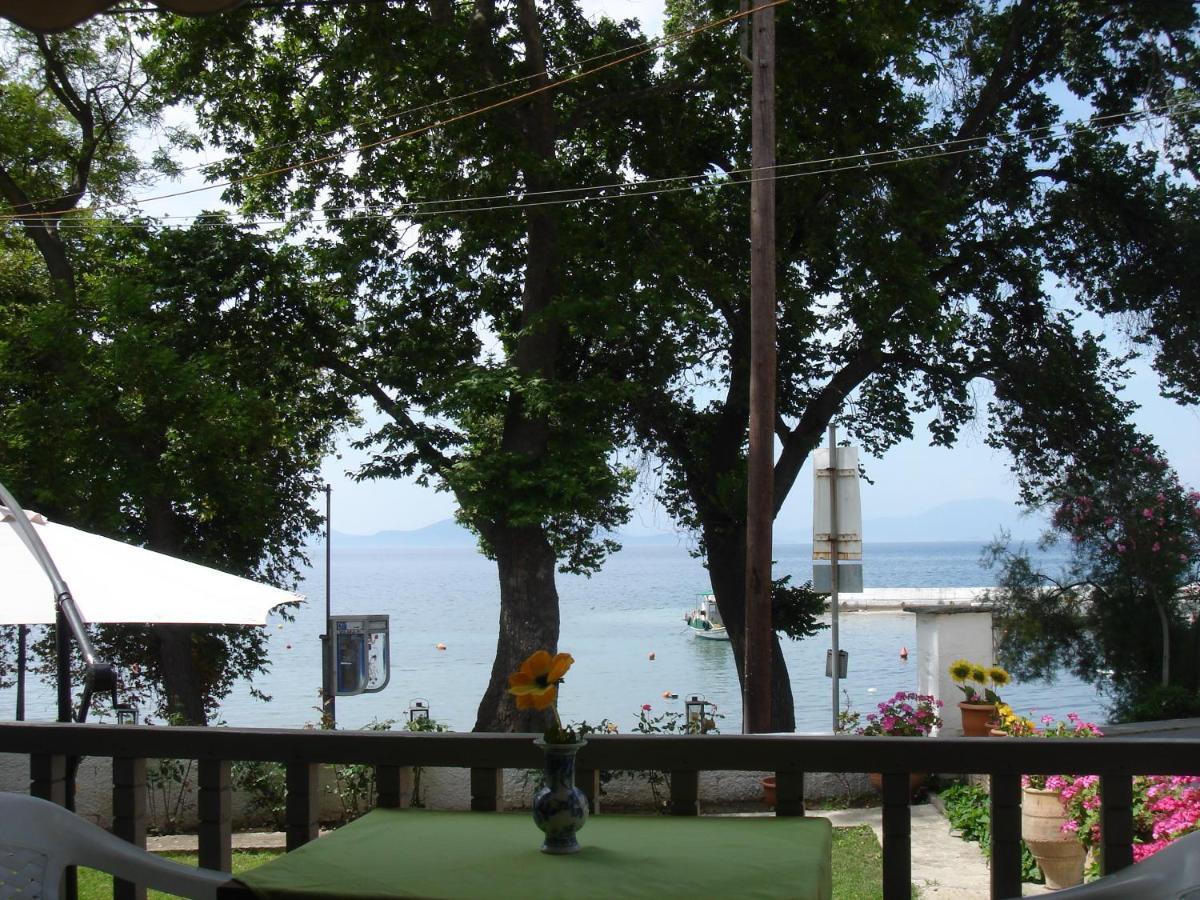 Olga Studios Afissos Bagian luar foto