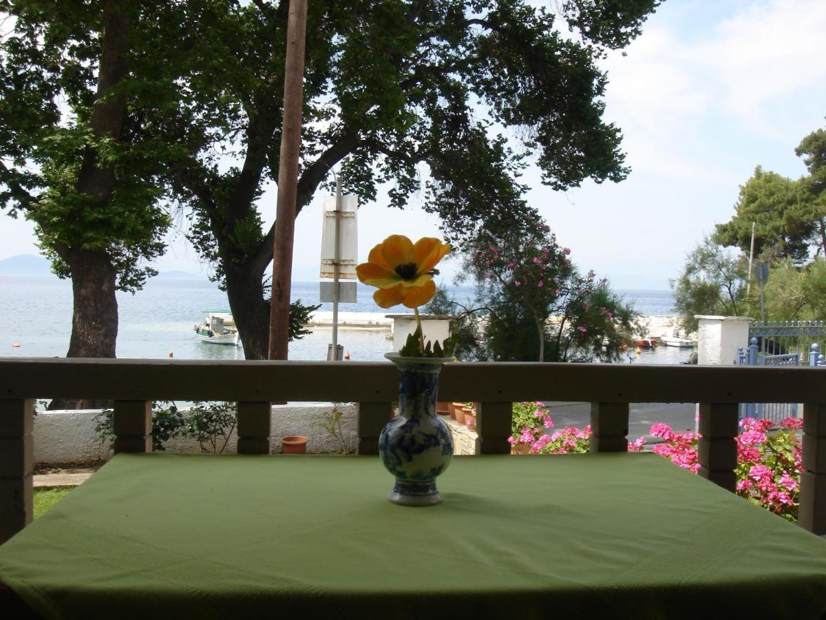 Olga Studios Afissos Bagian luar foto