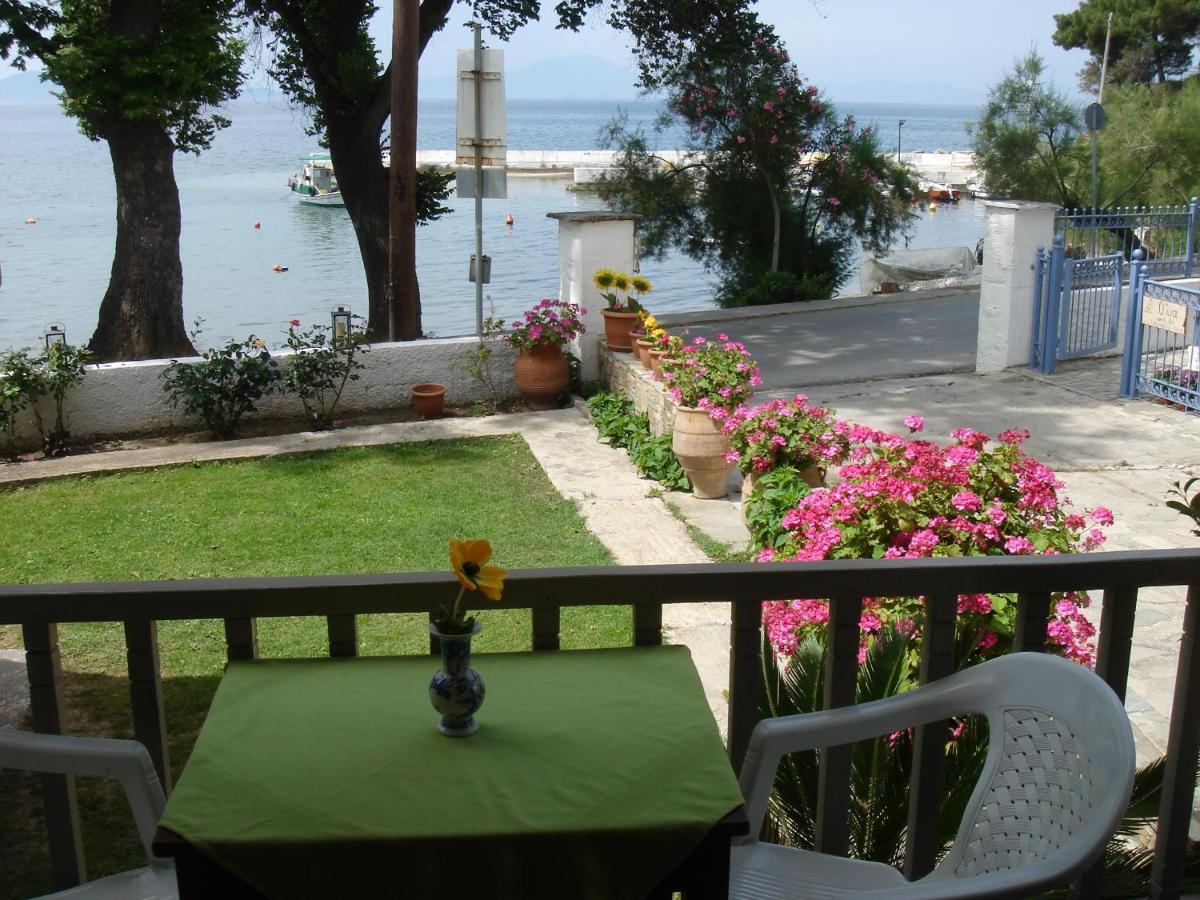 Olga Studios Afissos Ruang foto