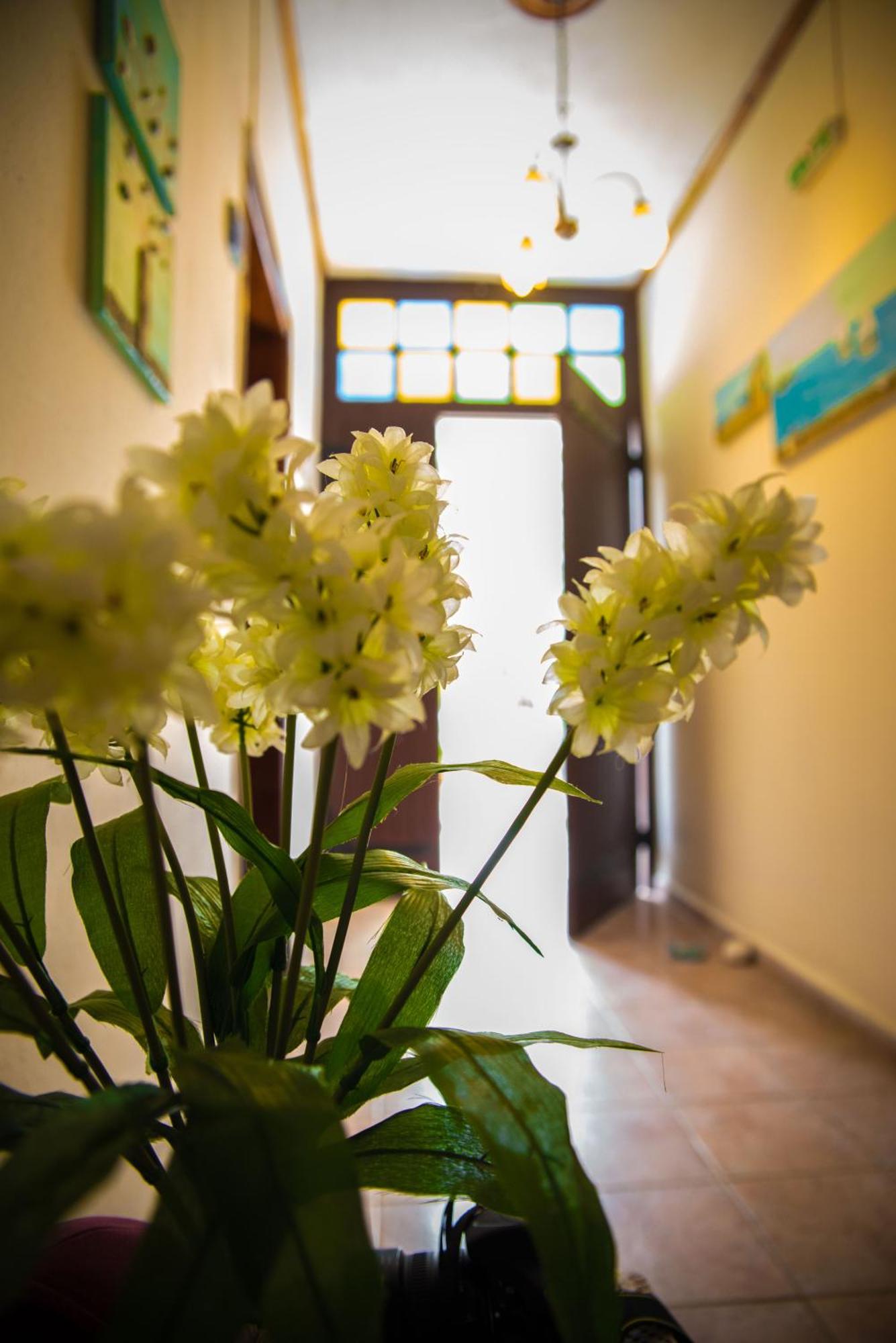 Olga Studios Afissos Ruang foto